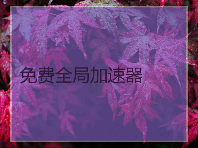 免费全局加速器