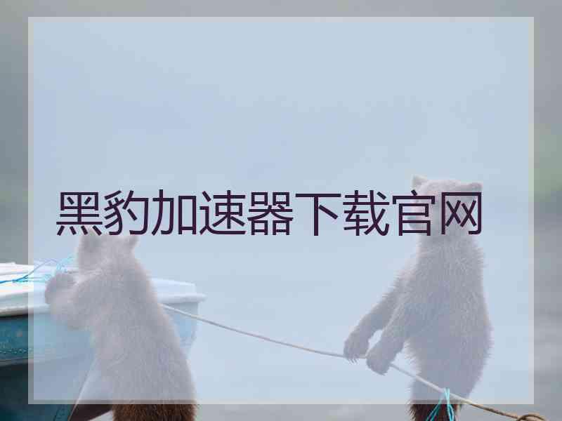 黑豹加速器下载官网