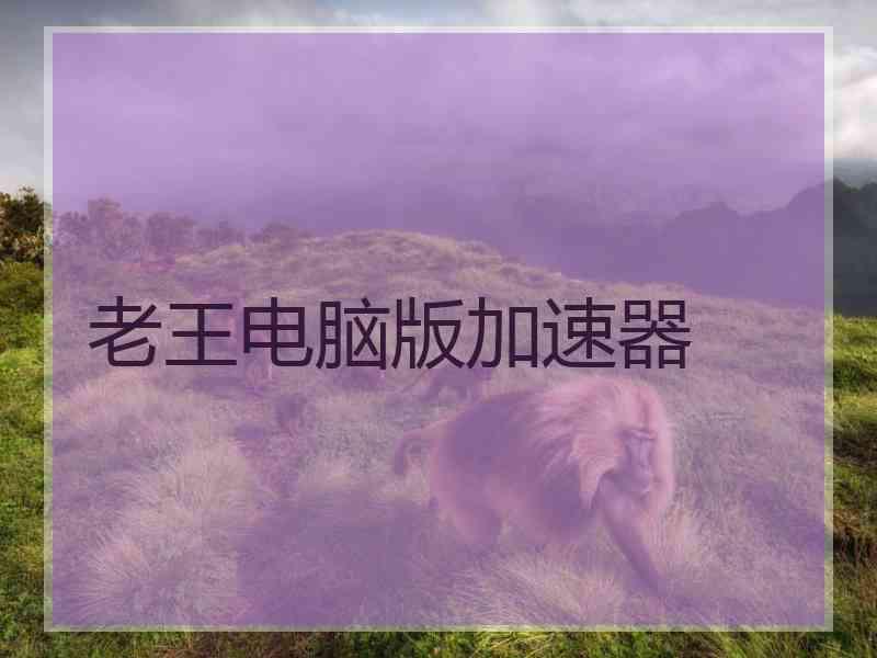 老王电脑版加速器