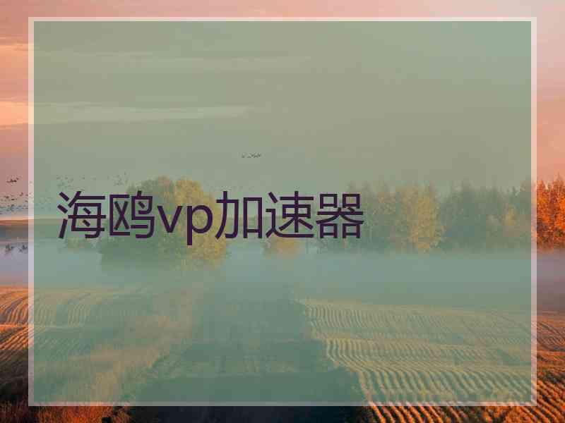 海鸥vp加速器