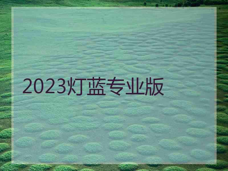 2023灯蓝专业版