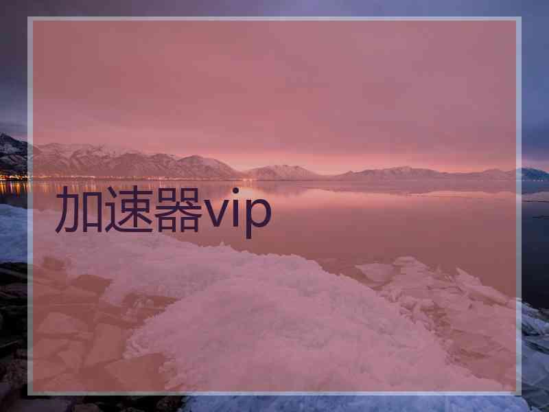 加速器vip