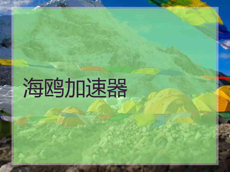 海鸥加速器