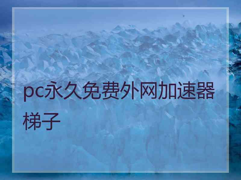 pc永久免费外网加速器梯子