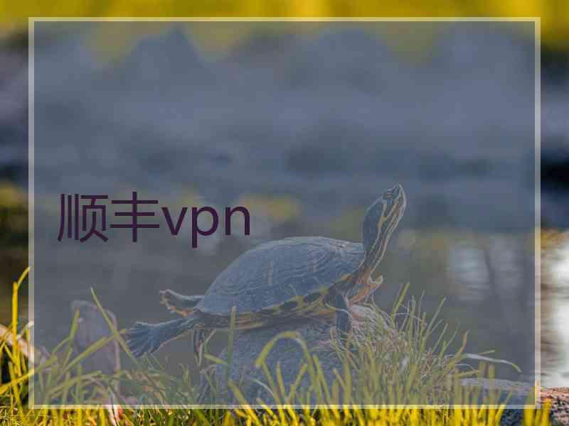 顺丰vpn