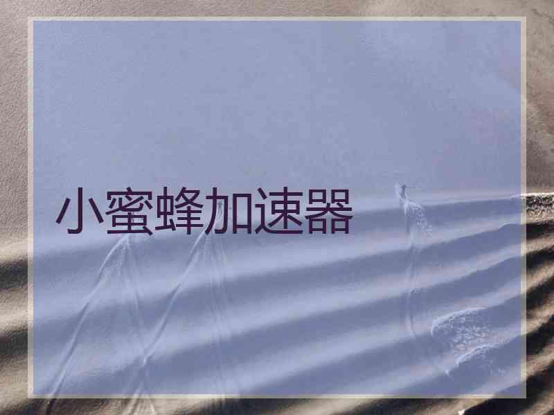 小蜜蜂加速器