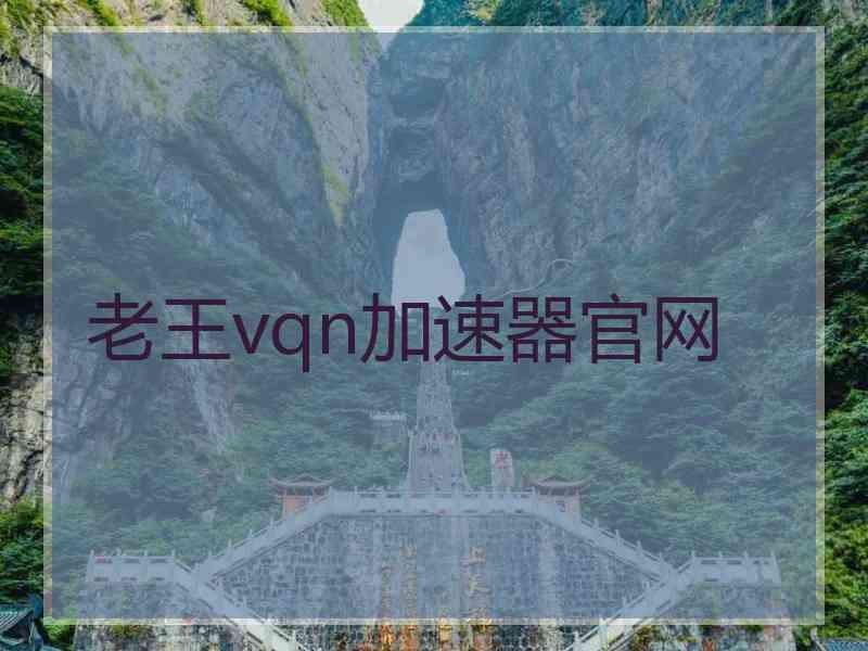 老王vqn加速器官网