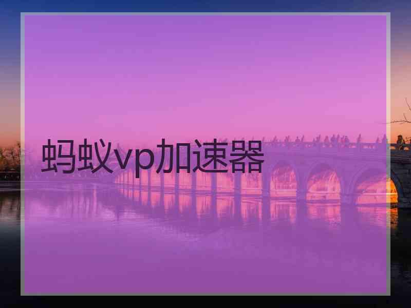 蚂蚁vp加速器