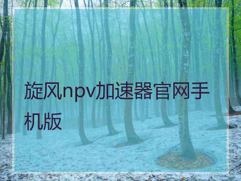 旋风npv加速器官网手机版