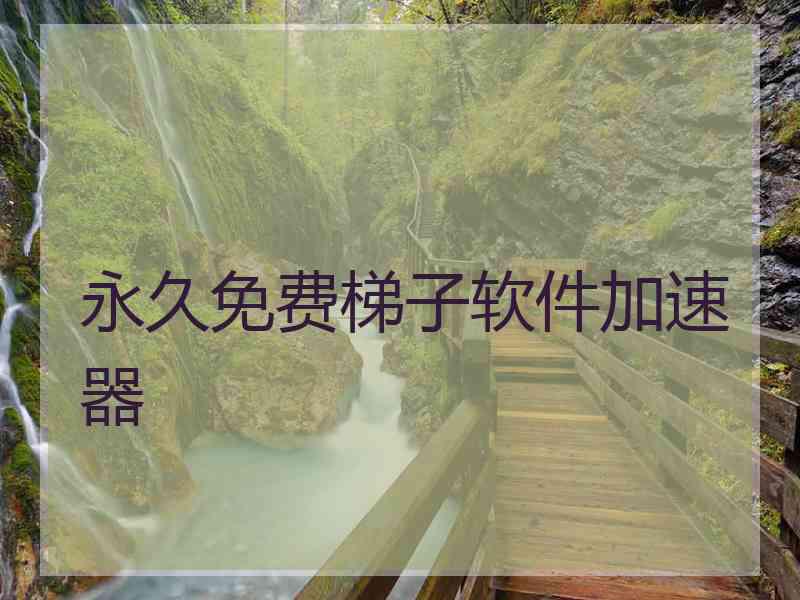 永久免费梯子软件加速器