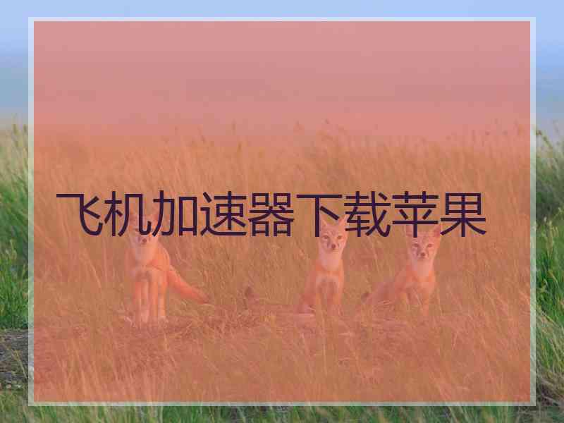 飞机加速器下载苹果