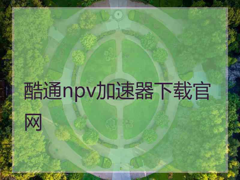 酷通npv加速器下载官网