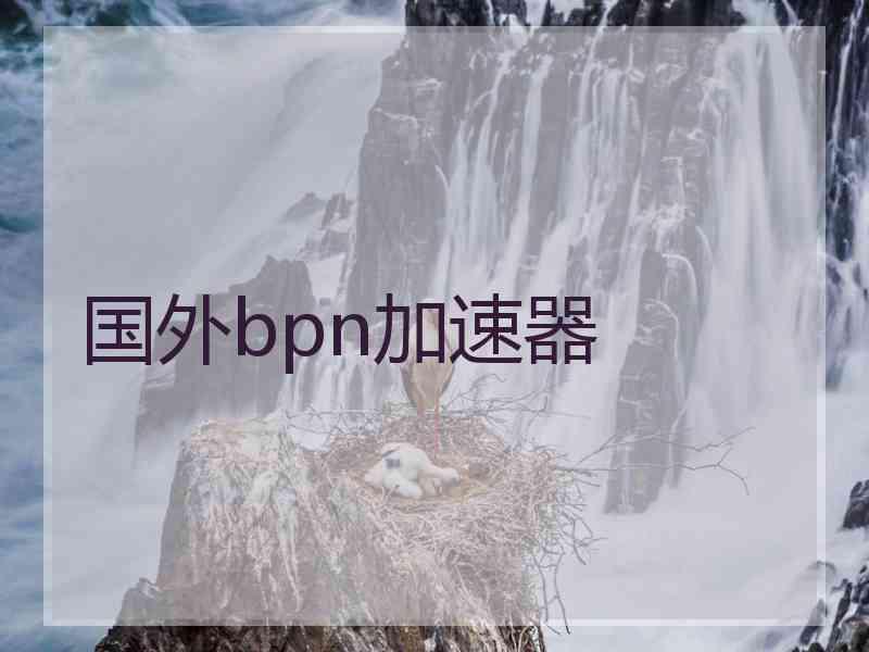 国外bpn加速器