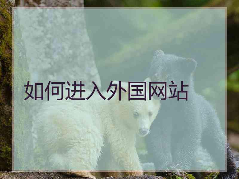 如何进入外国网站
