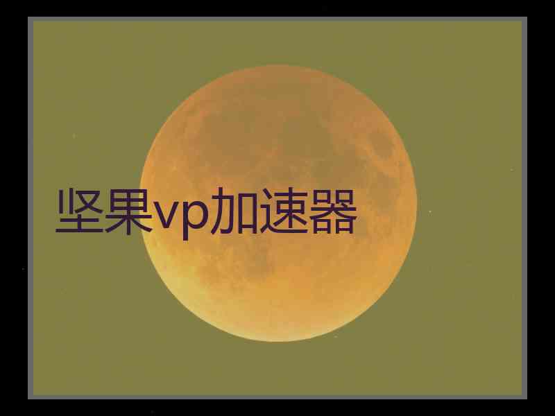 坚果vp加速器