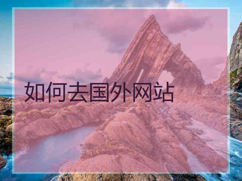 如何去国外网站