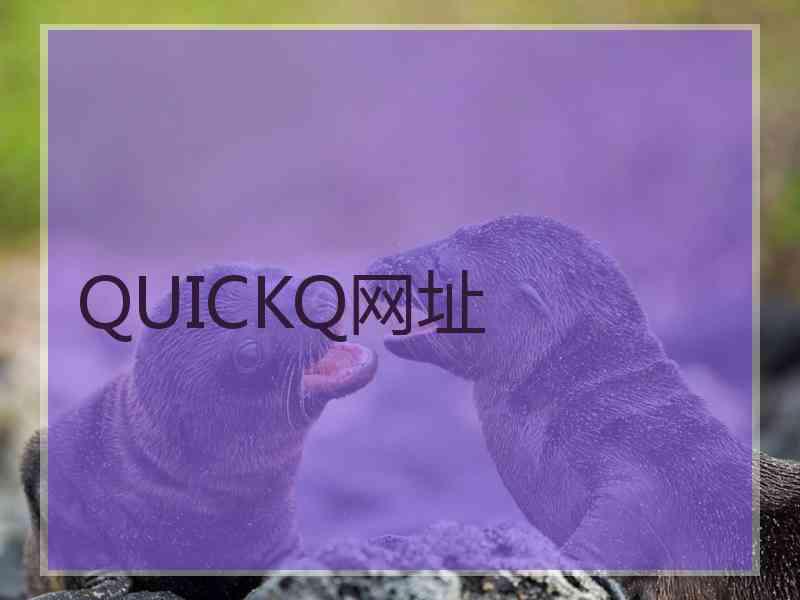 QUICKQ网址