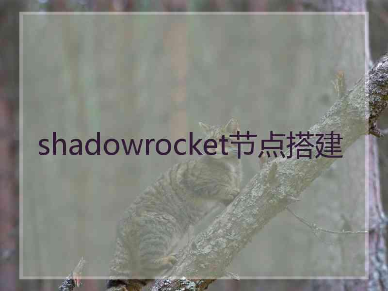 shadowrocket节点搭建