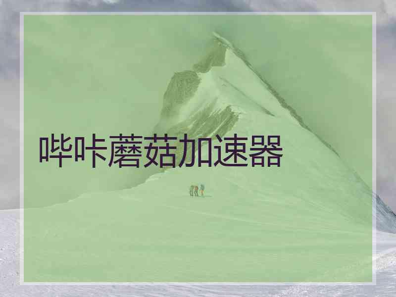 哔咔蘑菇加速器