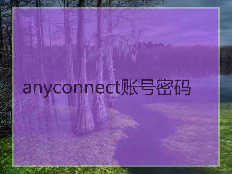 anyconnect账号密码