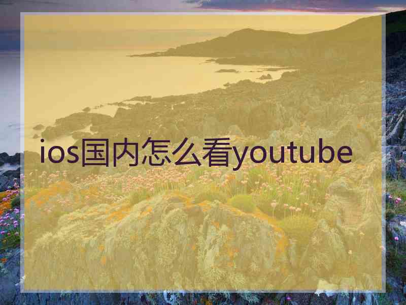 ios国内怎么看youtube