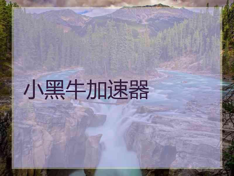 小黑牛加速器