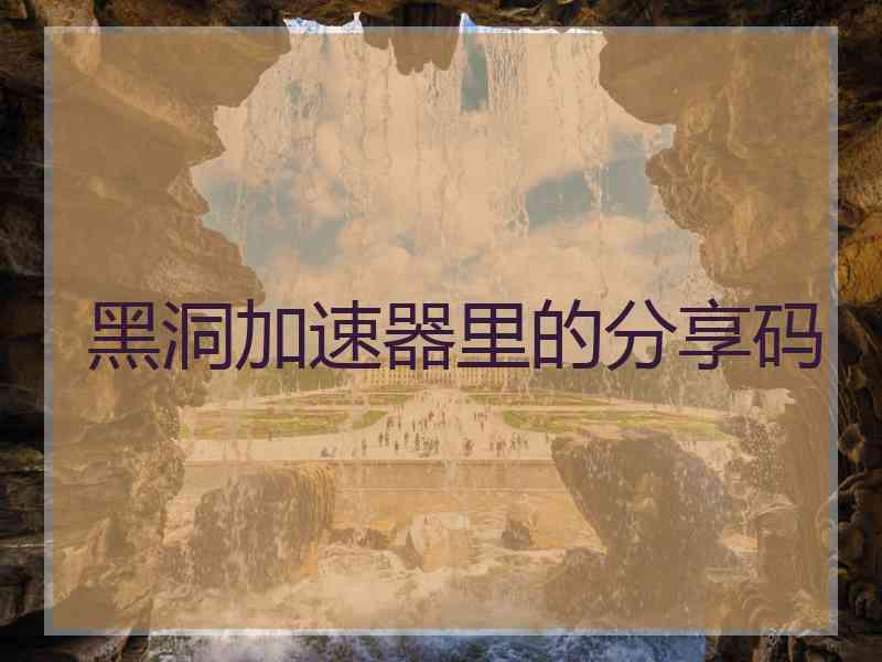 黑洞加速器里的分享码