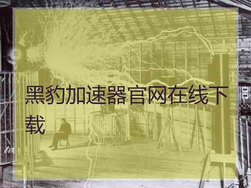 黑豹加速器官网在线下载