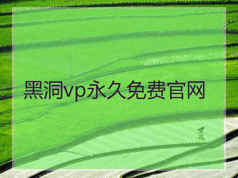 黑洞vp永久免费官网