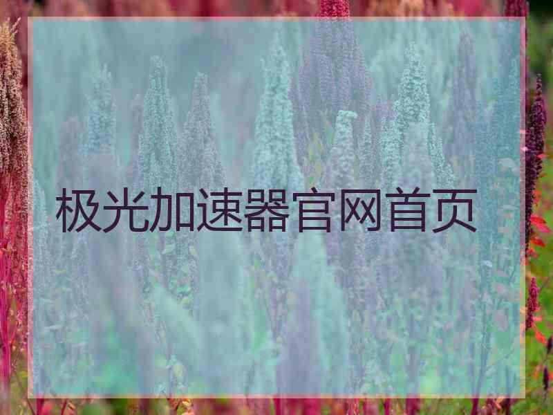 极光加速器官网首页