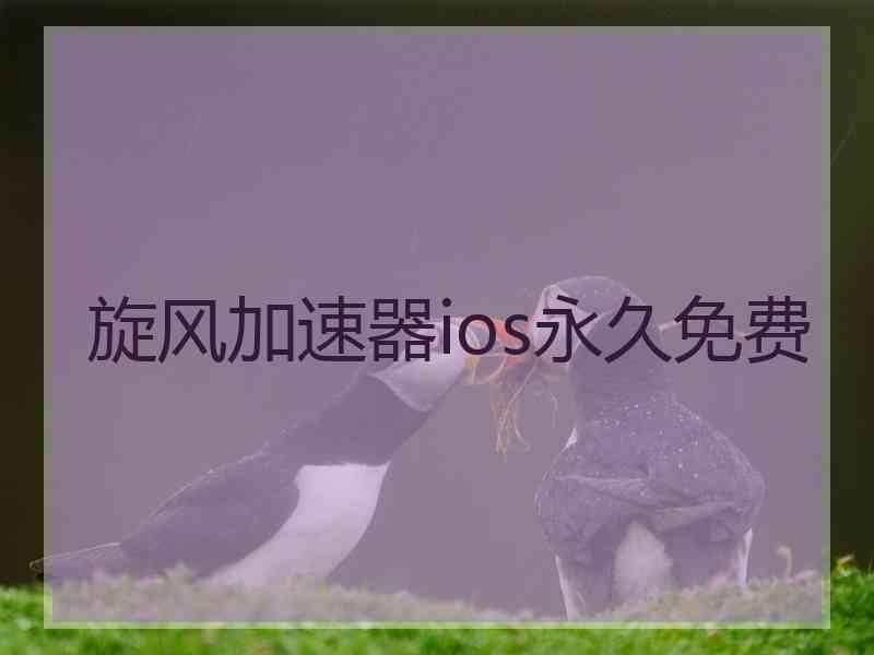 旋风加速器ios永久免费