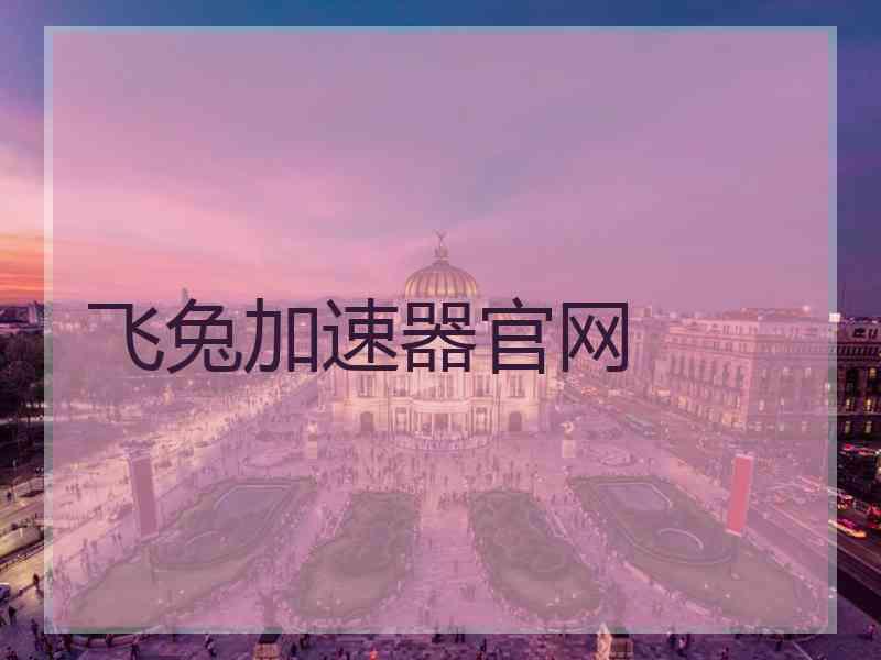 飞兔加速器官网