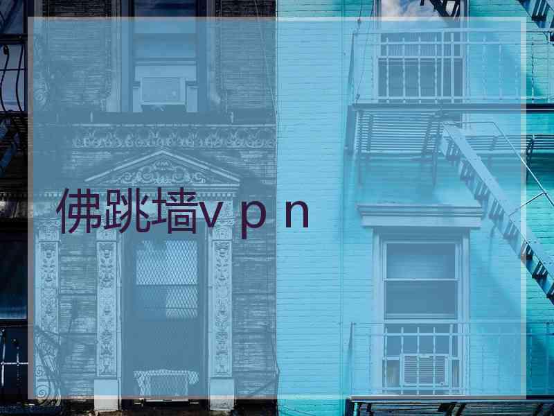 佛跳墙v p n