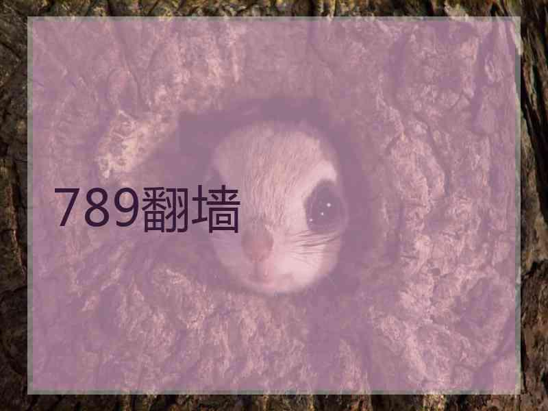 789翻墙