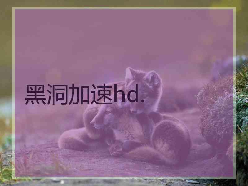 黑洞加速hd.
