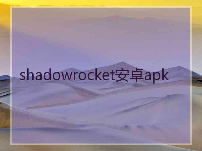 shadowrocket安卓apk