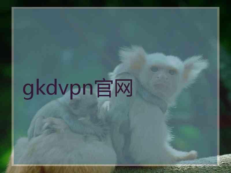 gkdvpn官网