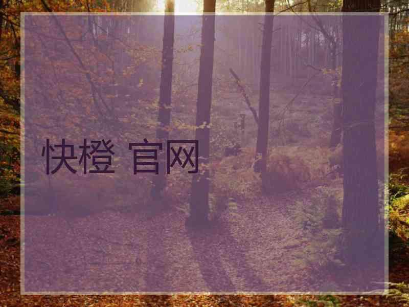 快橙 官网