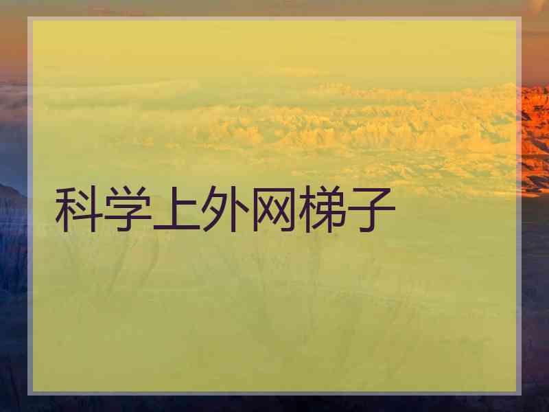 科学上外网梯子