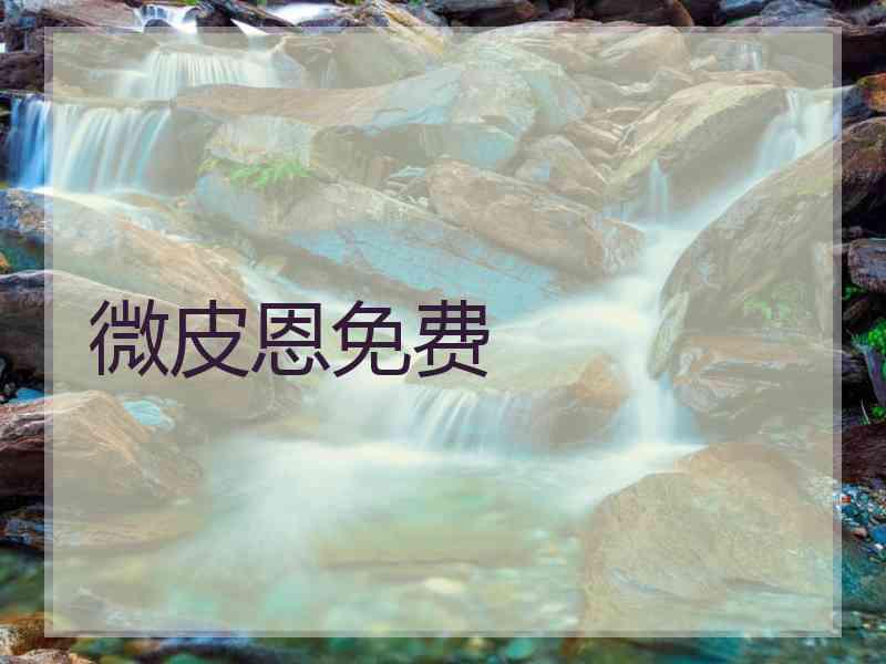 微皮恩免费