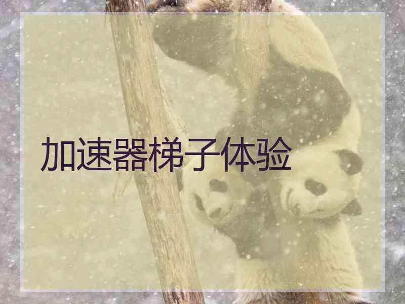 加速器梯子体验