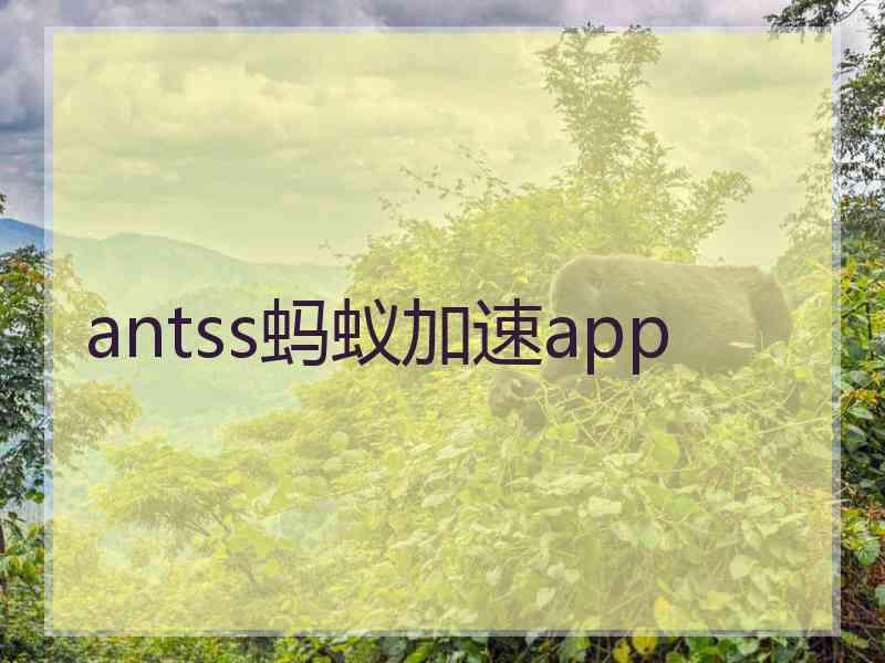 antss蚂蚁加速app