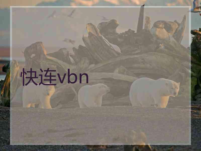 快连vbn