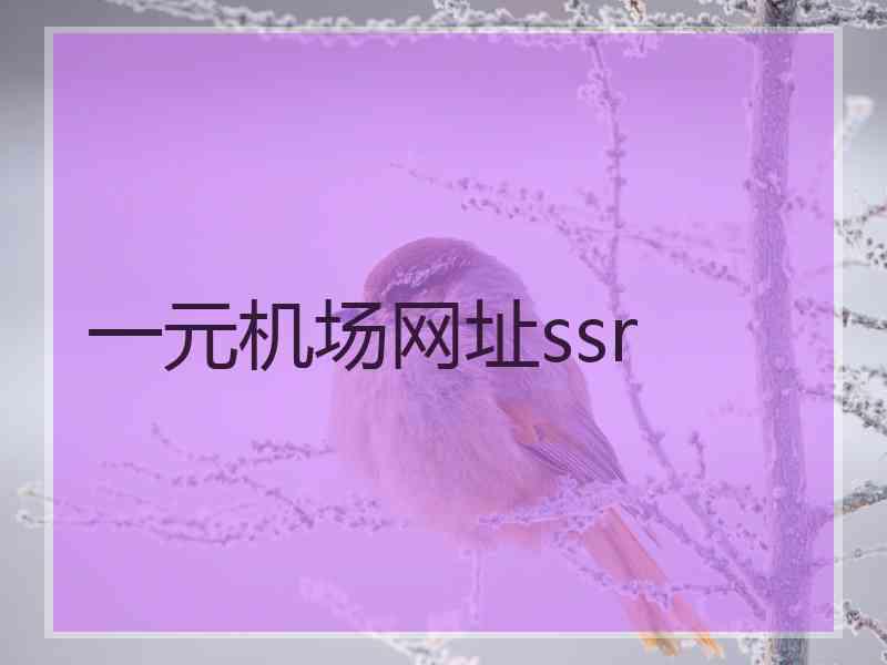 一元机场网址ssr