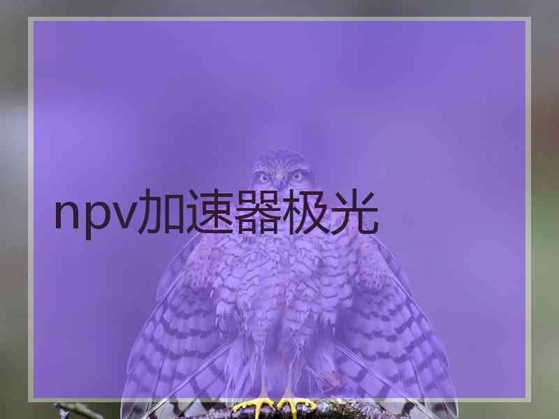 npv加速器极光