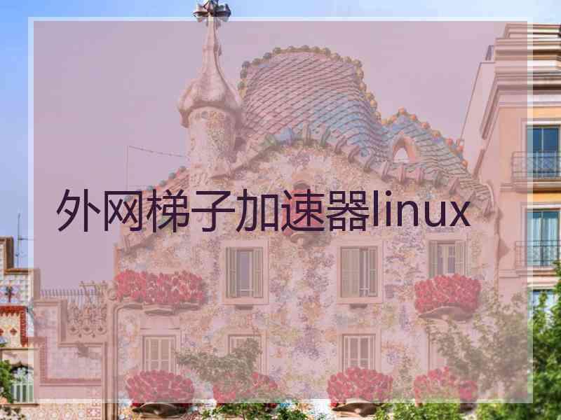 外网梯子加速器linux