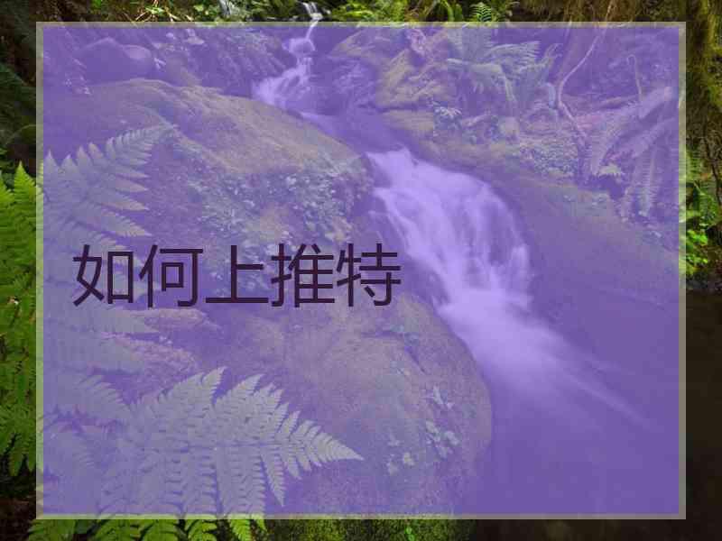 如何上推特