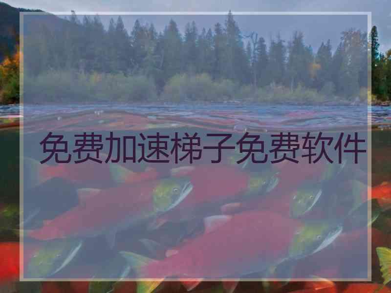 免费加速梯子免费软件