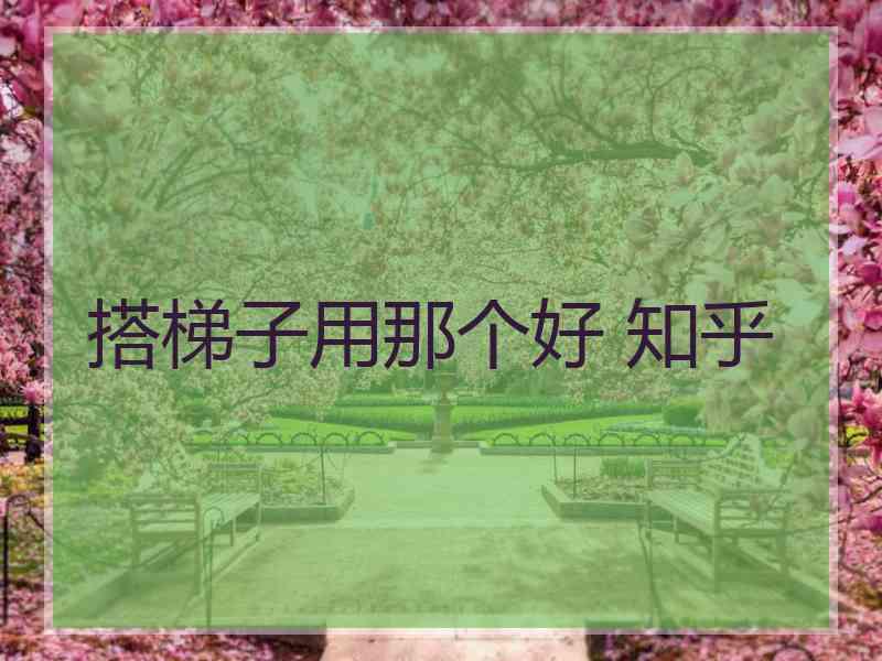 搭梯子用那个好 知乎