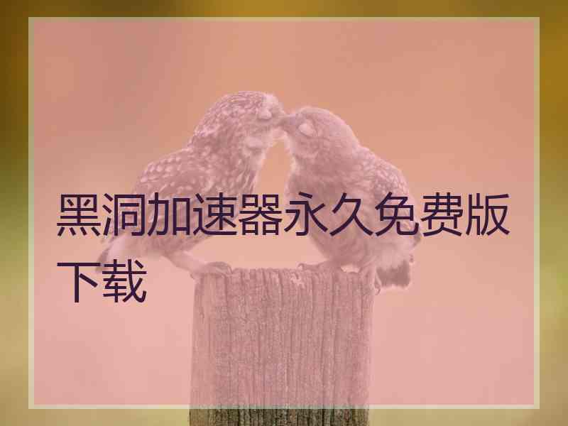 黑洞加速器永久免费版下载